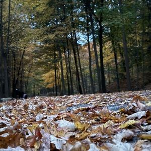 Meet your Posher, Bello